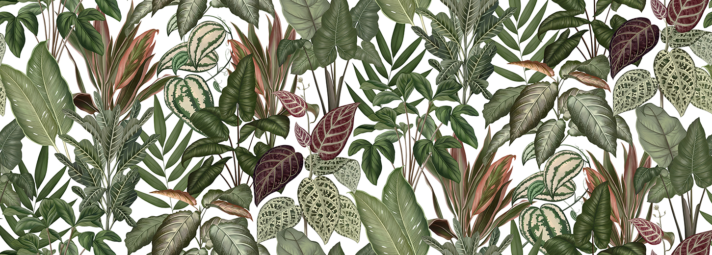 Wallpapers Engraving leaves
