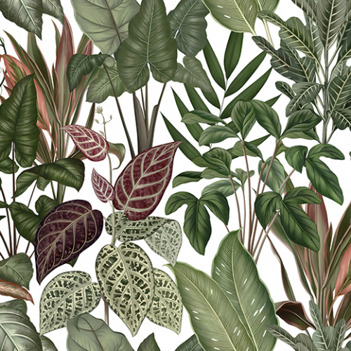 Wallpapers Engraving leaves