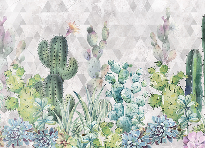 Wallpapers Kingdom of cacti - Фото 3